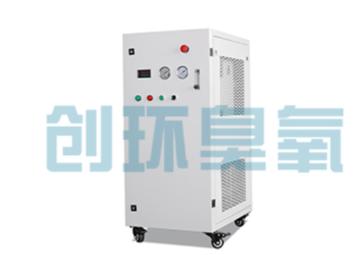 锦州石斑鱼养殖水质调控完整指南：臭氧发生器配置与操作步骤