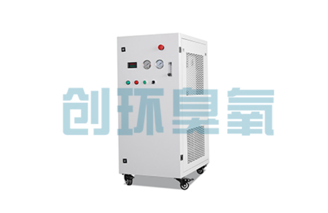 锦州比传统换水更高效？臭氧发生器在石斑鱼养殖中的水质净化原理解析