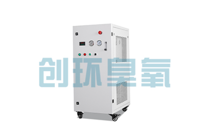锦州比传统换水更高效?臭氧发生器在石斑鱼养殖中的水质净化原理解析